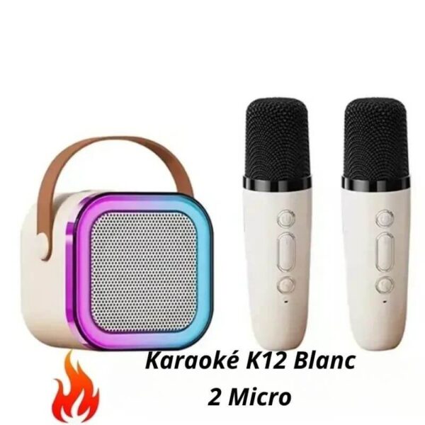 Système de karaoké KTV portable