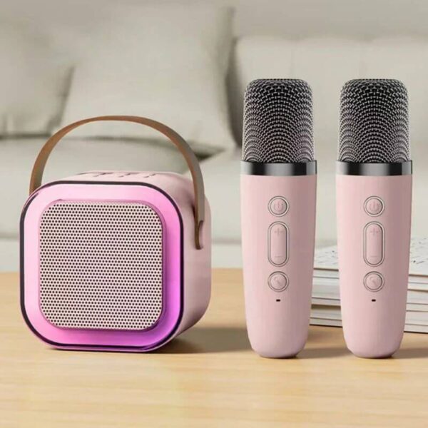 Karaoké avec double microphone