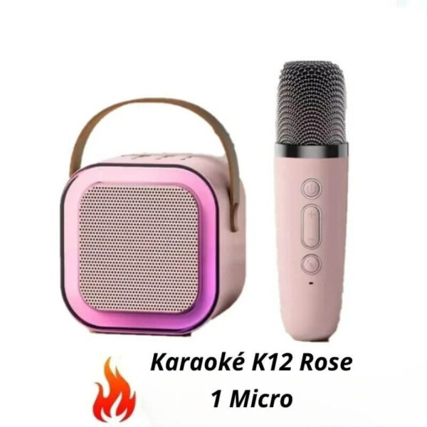 Karaoké bluetooth K12 Rose 1 Micro