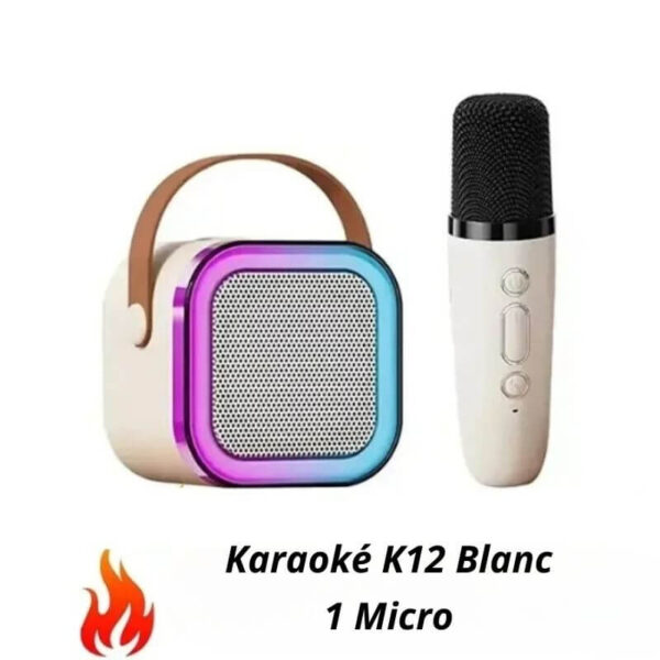 Karaoké bluetooth K12 Blanc 1 Micro