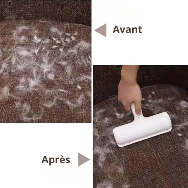 Avant/après utilisation de la brosse anti-poils sur un tapis.