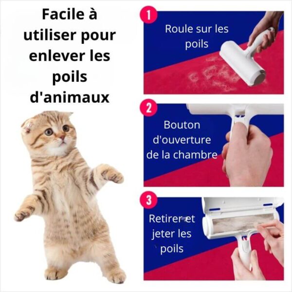 Rouleau Anti Poils