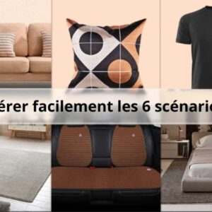 Nettoyage des poils de chat sur un canapé avec la brosse magique.