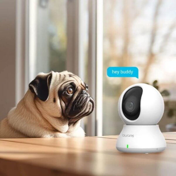 Caméra de surveillance intérieure Blurams 2K installée sur une étagère